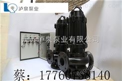 上海泸泉排污泵专业厂家