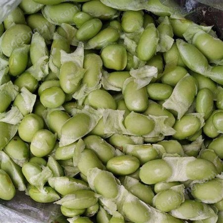 绿拓食品生鲜大粒毛豆 出口级速冻毛豆荚供应