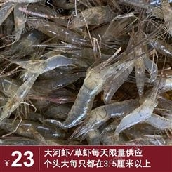 2021年10月大河虾/草虾/米虾每天*不到100斤个头大每只4.5公分以上
