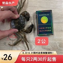 鲜活大闸蟹/六月黄螃蟹每只2两小规格26元/斤 8月21到31日*满30斤送香辣蟹调料