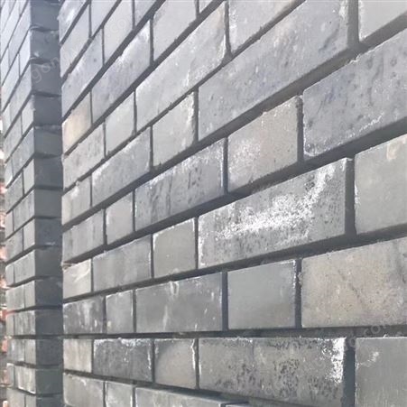北京海淀非黏土烧结砖生产厂家 兆烨建材粉煤灰蒸压砖