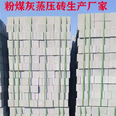 北京海淀非黏土烧结砖生产厂家 兆烨建材粉煤灰蒸压砖