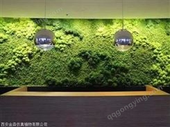 办公室的绿植 真绿植墙 仿真绿植墙工程 金森造景