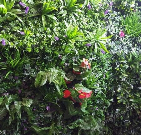 西安植物墙 绿植墙价格 陕西仿真植物墙公司-金森造景