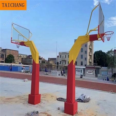 泰昌体育 儿童升降篮球架 固定地埋篮球架 篮球架厂家