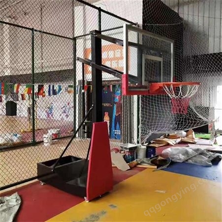 泰昌体育 儿童篮球架 少儿移动篮球架 自产家用篮球架