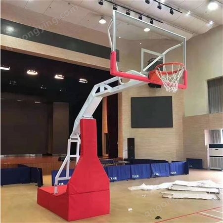 泰昌体育 儿童篮球架 少儿移动篮球架 自产家用篮球架