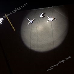 吊维亚空中舞蹈 品牌发布活动创意节目演艺 空中舞 蹈团队