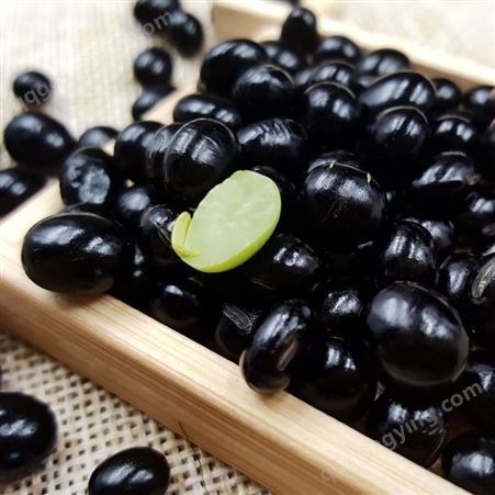黑龙江特色黑豆 绿芯东北有机大黑豆 出口企业批发 和粮农业溢田特色杂豆