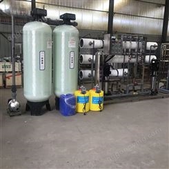 反渗透净水机 纯水净化设备 双级纯水设备 2吨纯净水设备