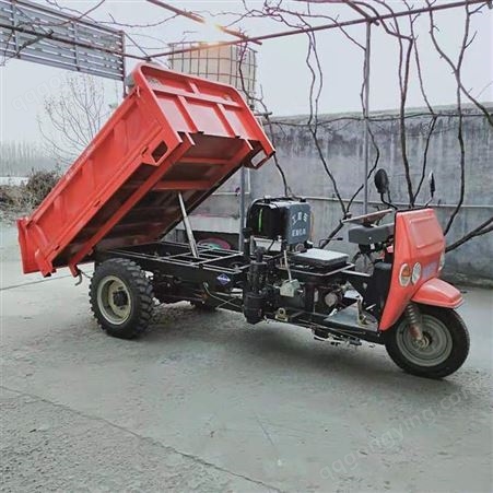 农用养殖翻斗运输三马子 建筑工地拉砖电启动柴油三轮车
