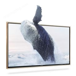 Woolpad沃派防爆电视机 43寸酒店智能4K液晶电视