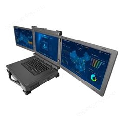 FT2000飞腾处理器便携机RTX3090独立显卡 IP65 三防便携机