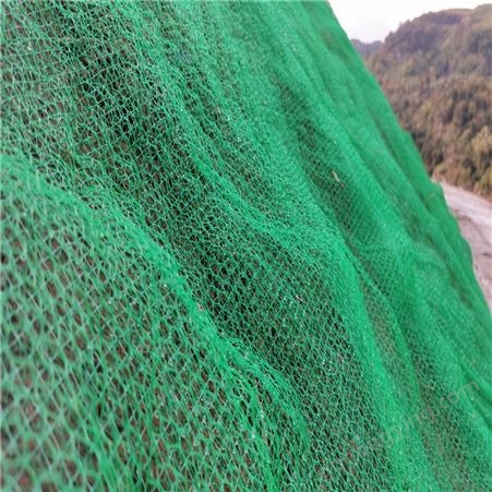 EM3三维植被网 荒山绿化 边坡绿化 矿山复绿项目专用EM3加筋网