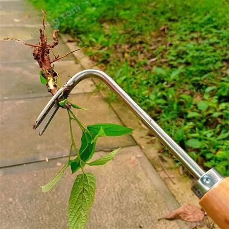家用拔草器铁铲挖草野菜神器松土园艺起根移苗起苗手动除草工具