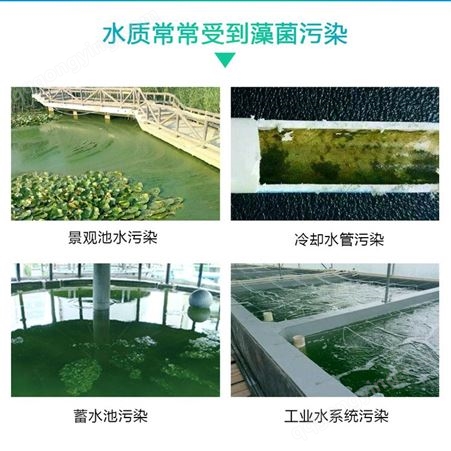 高效杀菌灭藻剂 池塘除藻剂 空调循环水粘泥剥离剂