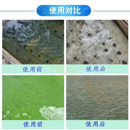 高效杀菌灭藻剂 池塘除藻剂 空调循环水粘泥剥离剂