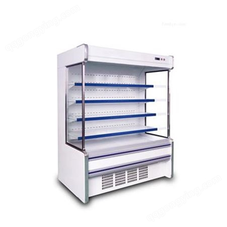 双门饮料柜 冷藏展示柜 便利店冷柜 找厨艺佳 大容量