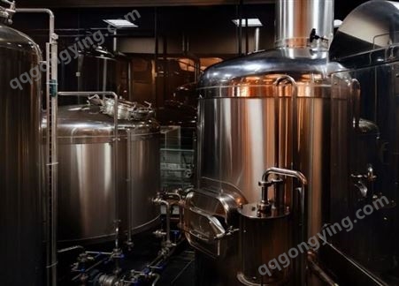 将军金属 小型精酿啤酒设备 家用酿酒设备 商用扎啤机发酵罐