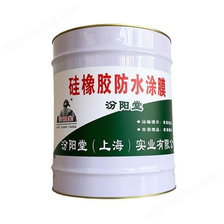 硅橡胶防水涂膜、可用于防腐防水涂料防护层
