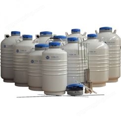 YDS-10-80静态储存系列液氮罐