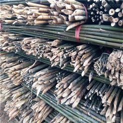 供应宁夏甘肃青海新疆绑扶枸杞树苗用的3米4米5米竹杆 3天发货