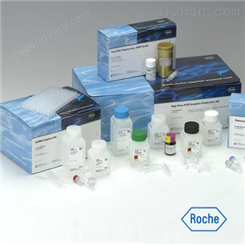 人血管紧张素Ⅱ受体2（AT2R）ELISA试剂盒