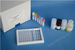 人血红素氧合酶2（HO-2）ELISA试剂盒