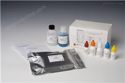 人β-促脂素（β-LPH）ELISA试剂盒