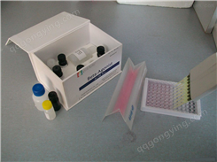 大鼠抗髓鞘相关糖蛋白抗体（MAG Ab）ELISA试剂盒