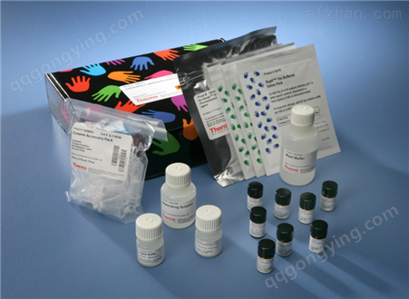 大鼠复合前列腺特异性抗原（CPSA）ELISA试剂盒