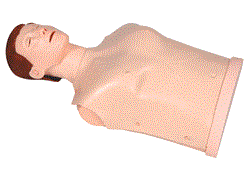 GD/CPR170S 半身心肺复苏训练模拟人(简易型)