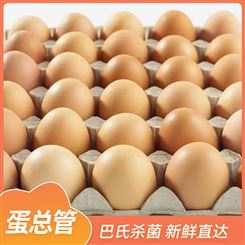 鲜鸡蛋 林下散养土鸡蛋30枚 蛋总管产地供应 红壳绿壳